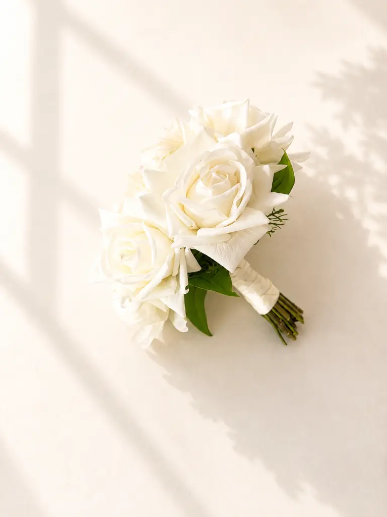 f28487ce-0e8d-45a6-8251-5cca98cb24ec.webp