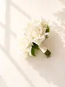f28487ce-0e8d-45a6-8251-5cca98cb24ec.webp