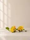 3d0f9e04-b079-4972-a7b8-daa177105e51.webp