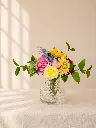 d5d68f20-8c15-440d-8d5d-02fc61170cb0.webp