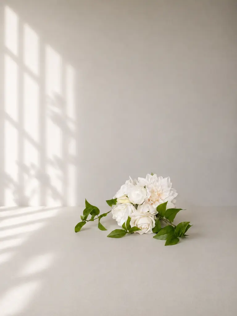 fa76d87e-1835-455e-becd-77b63c36bfa7.webp
