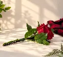 9b76c5f9-a1e0-47c5-b23b-0d5ce90546e9.webp