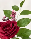 11957247-aa5e-49f0-b172-6e6eb180ac92.webp