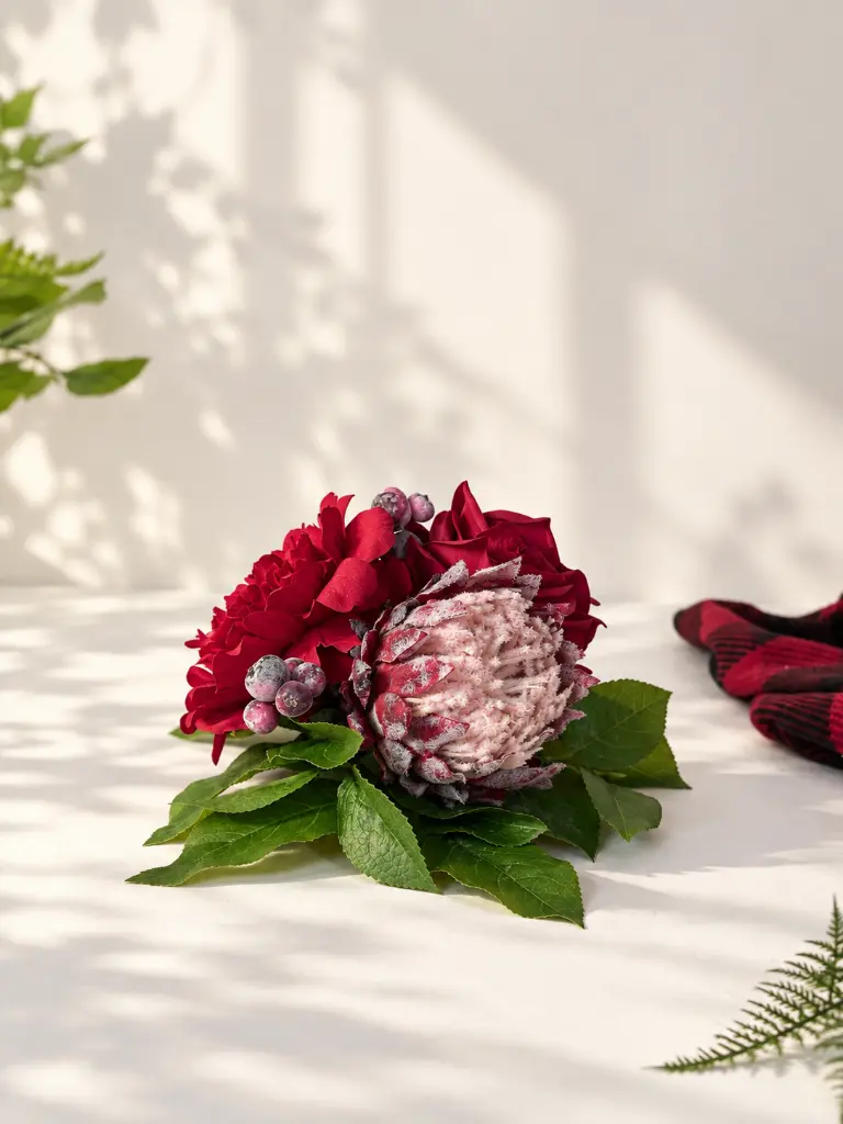 7d2e26ed-1086-4d21-bfd9-c4658ba57fad.webp