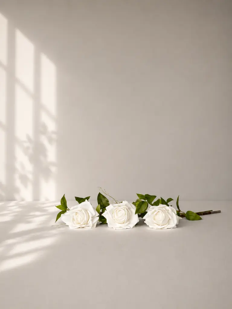 a85b1472-27bb-41c8-bf66-b5914c2bbff0.webp