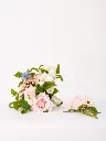 b806908a-a9ed-4506-b67a-b87b77b1987b.webp