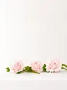 aea4b2cd-ede8-4354-8c94-2131872c4cbf.webp