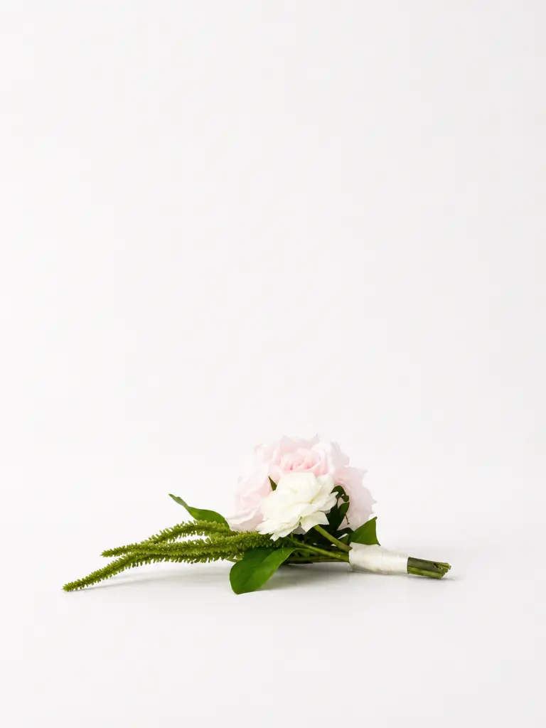 131d5835-7b70-4278-9fc9-cd4361cee6d1.webp