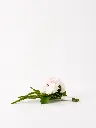 131d5835-7b70-4278-9fc9-cd4361cee6d1.webp