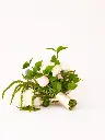 e2244c26-45bb-4017-b629-038f2ed96bc7.webp